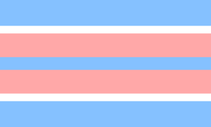 Feminist flag.png